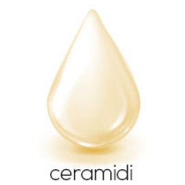 Ceramidi v negi kože